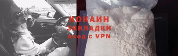 шишки Заводоуковск