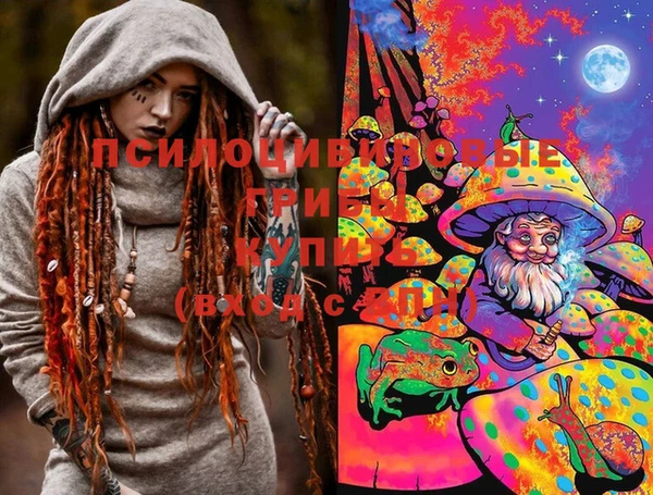 герыч Елабуга
