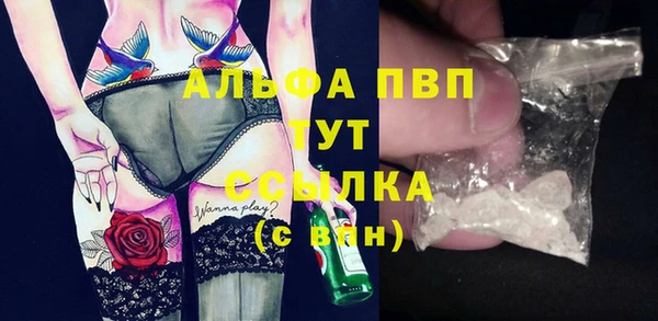 шишки Заводоуковск