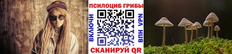Купить где Грязи Псилоцибиновые грибы Psilocybine cubensis